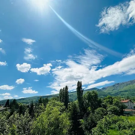 15% Discount! Limited Time