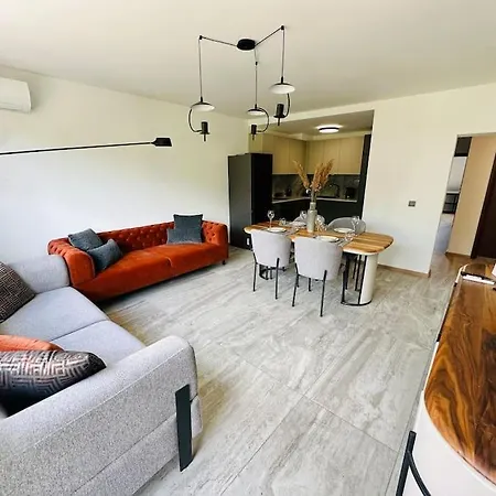 15% Discount! Limited Time Sofia