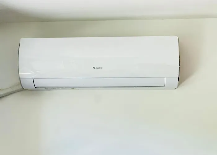 15% Discount! Limited Time Sofia