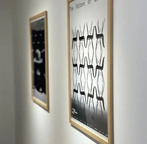 15% Discount! Limited Time Sofia